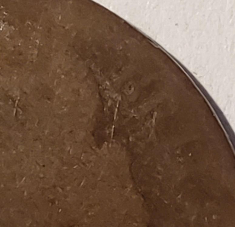 Coin-01  close-up behind head.jpg
